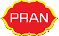 Partner 5